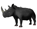 gif animate rinoceronte (10)